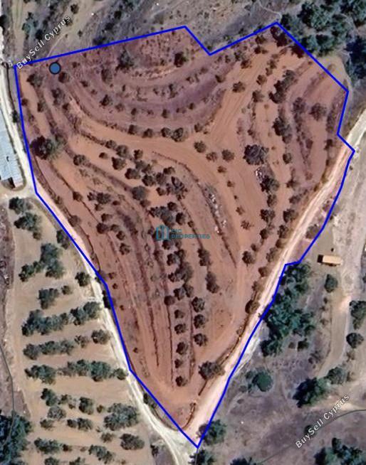 land for sale xyliatos nicosia 8086262 image 13125949