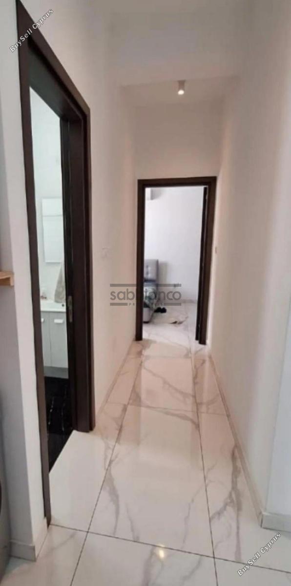 2 bedroom apartment for rent livadia larnacas larnaca 8738362 image 16361293