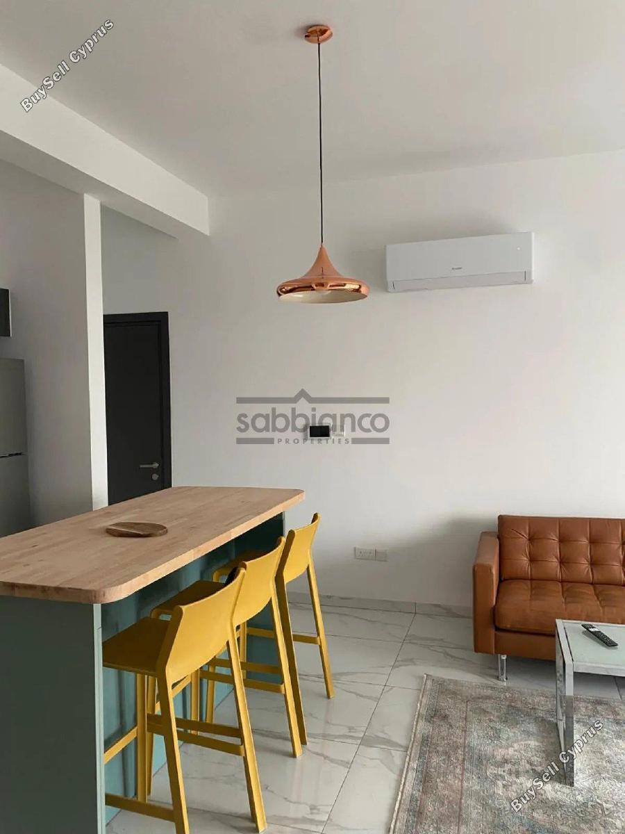 2 bedroom apartment for rent livadia larnacas larnaca 8738362 image 16361295
