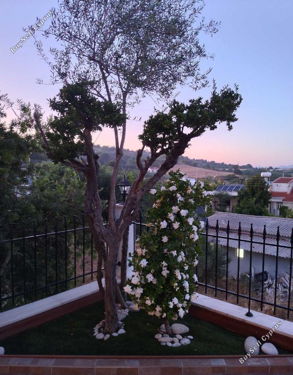 5 bedroom detached house for rent stroumbi paphos 8903362 image 17619345