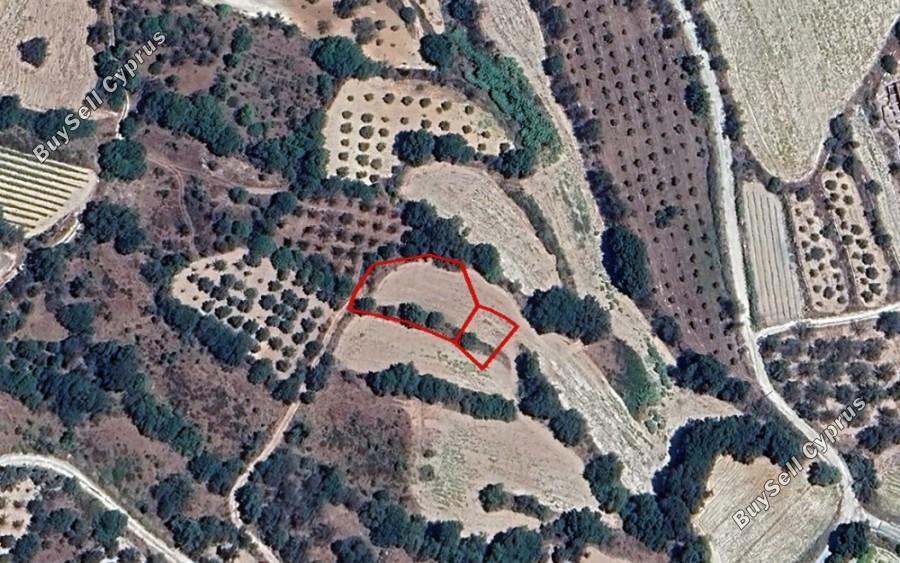 land for sale amargeti paphos 8630362 image 17113059