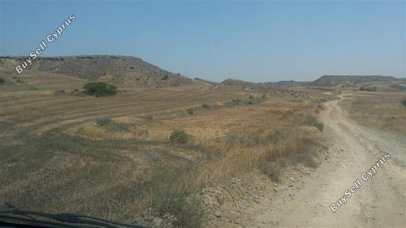 land for sale tseri nicosia 1098362 image 16185568