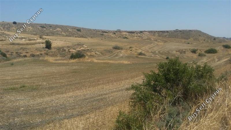 land for sale tseri nicosia 1098362 image 16185582