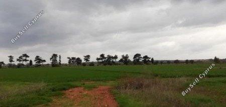 plot for sale potamos liopetriou famagusta 1680362 image 15502708