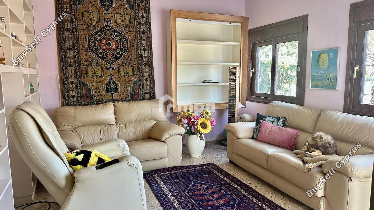 6 bedroom detached house for sale agios andreas nicosia nicosia 7975462 image 11492824