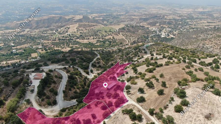 land for sale peristerona pafou paphos 1354462 image 10053335