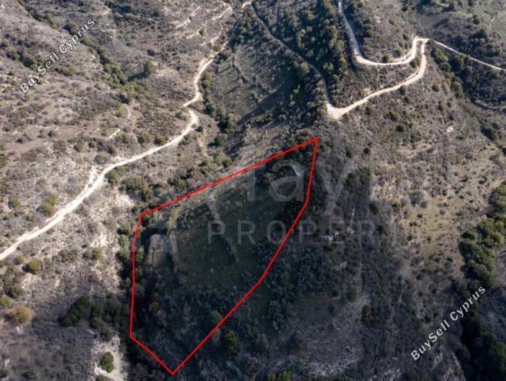 plot for sale dora limassol 7871462 image 11381365
