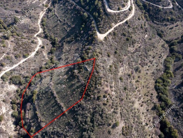 plot for sale dora limassol 7871462 image 11381366