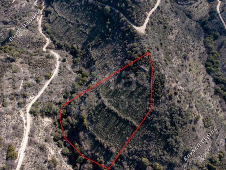 plot for sale dora limassol 7871462 image 11381367