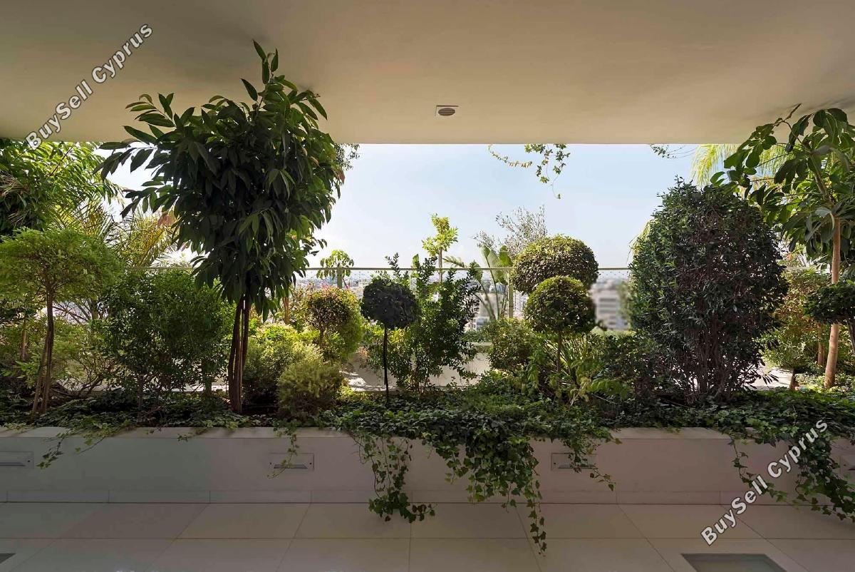 studio office for rent nicosia municipality nicosia 1802462 image 14767613