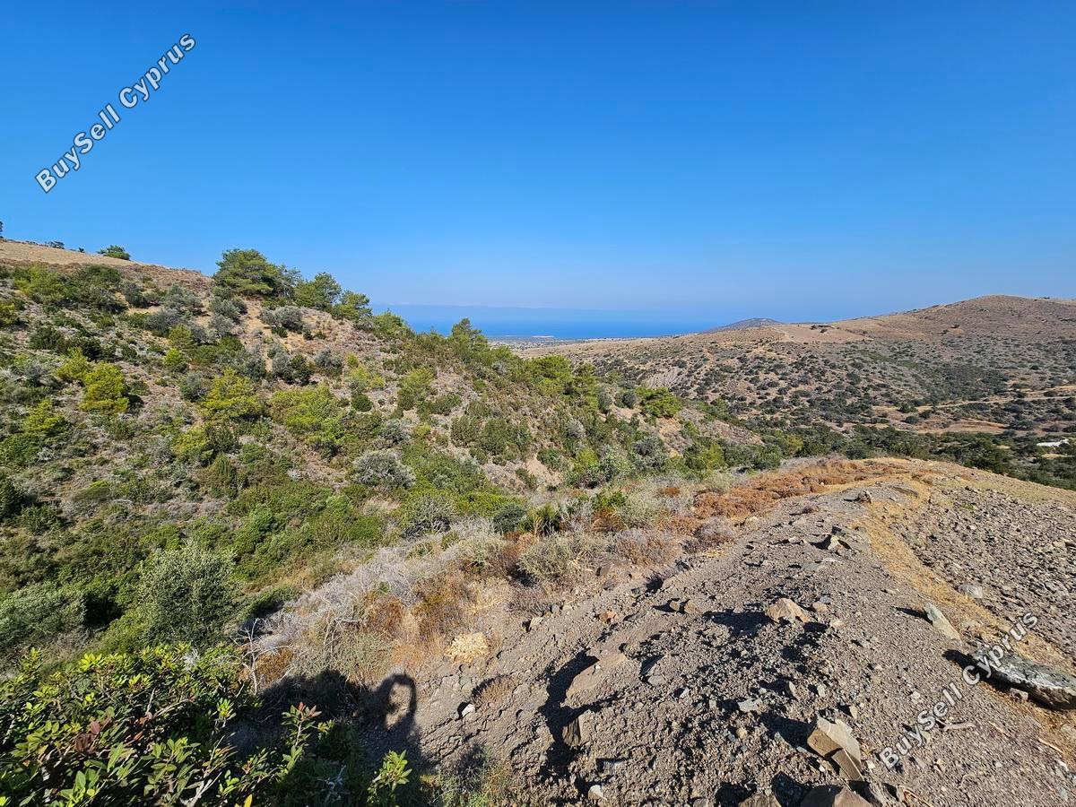 land for sale ineia paphos 1869562 image 6906631