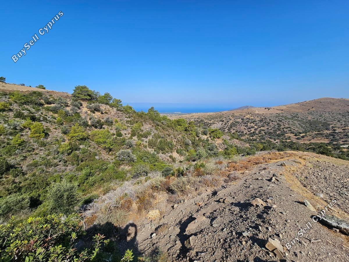 land for sale ineia paphos 1869562 image 6906632