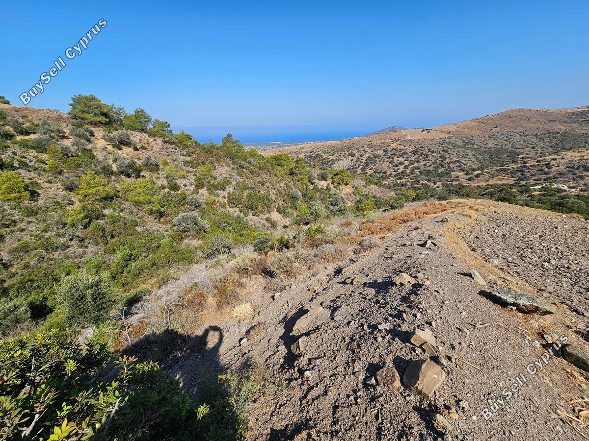 land for sale ineia paphos 1869562 image 6906633