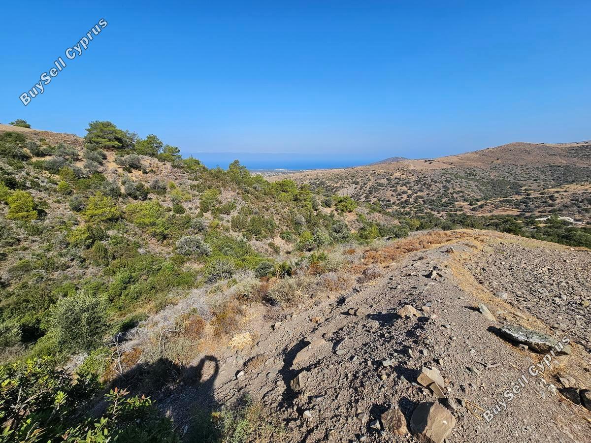 land for sale ineia paphos 1869562 image 6906634