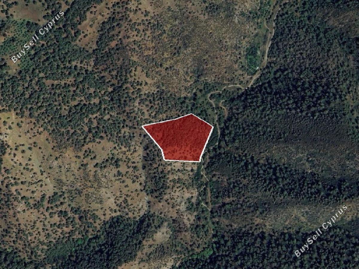 land for sale pigenia nicosia 8726562 image 16332172