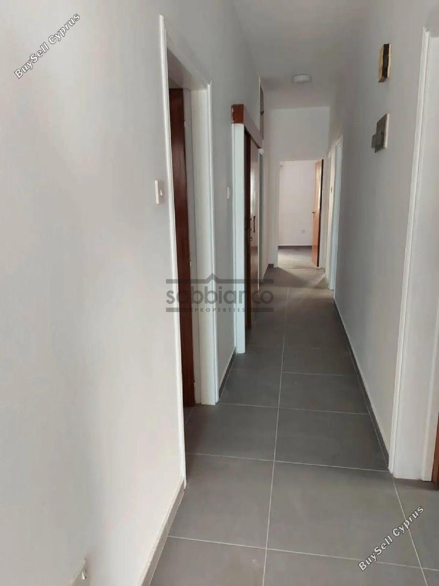 3 bedroom detached house for rent chrysopolitissa larnaca 8738662 image 16363418