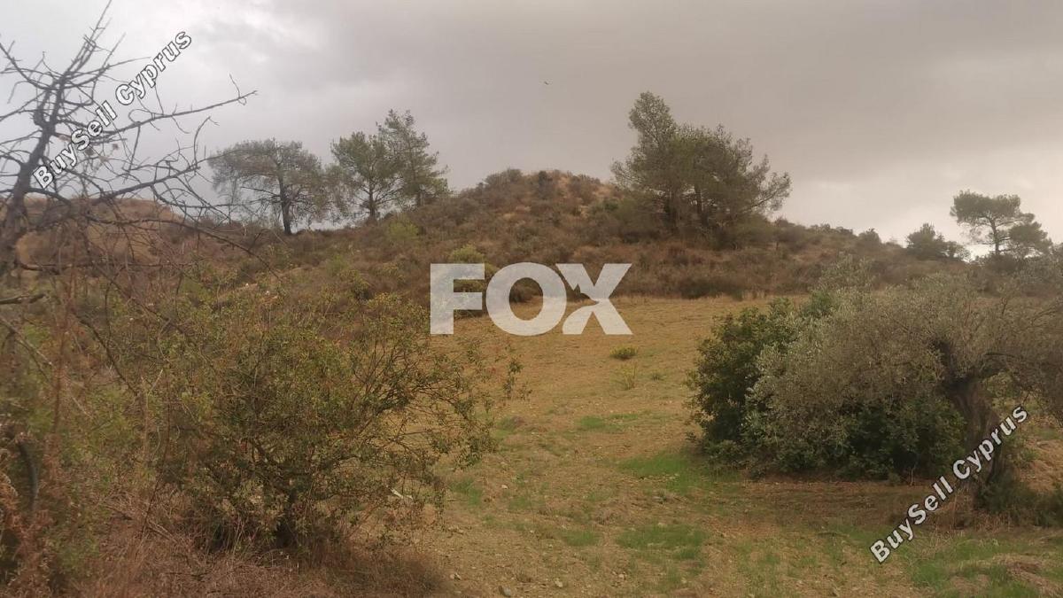 land for sale agios therapon limassol 1731662 image 5691545