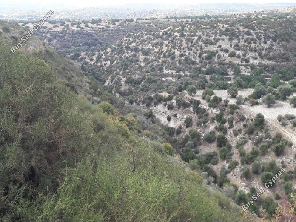 land for sale avdimou limassol 8785662 image 16656143