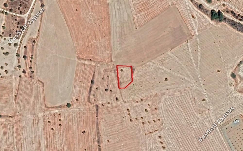 land for sale kivisili larnaca 1427762 image 15180994