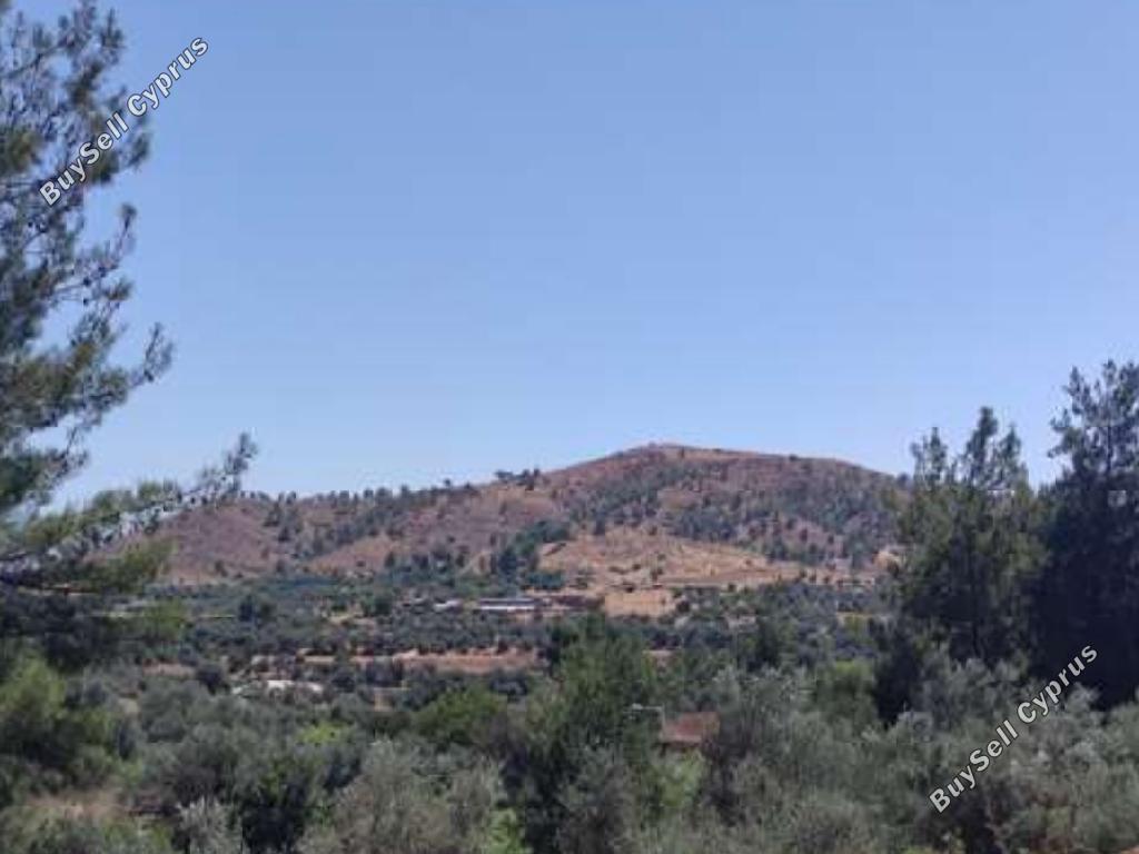land for sale korakou nicosia 1210762 image 15603385
