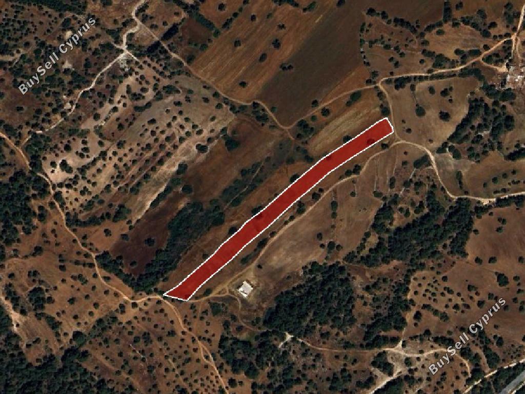 land for sale neo chorio paphos 945762 image 15600263