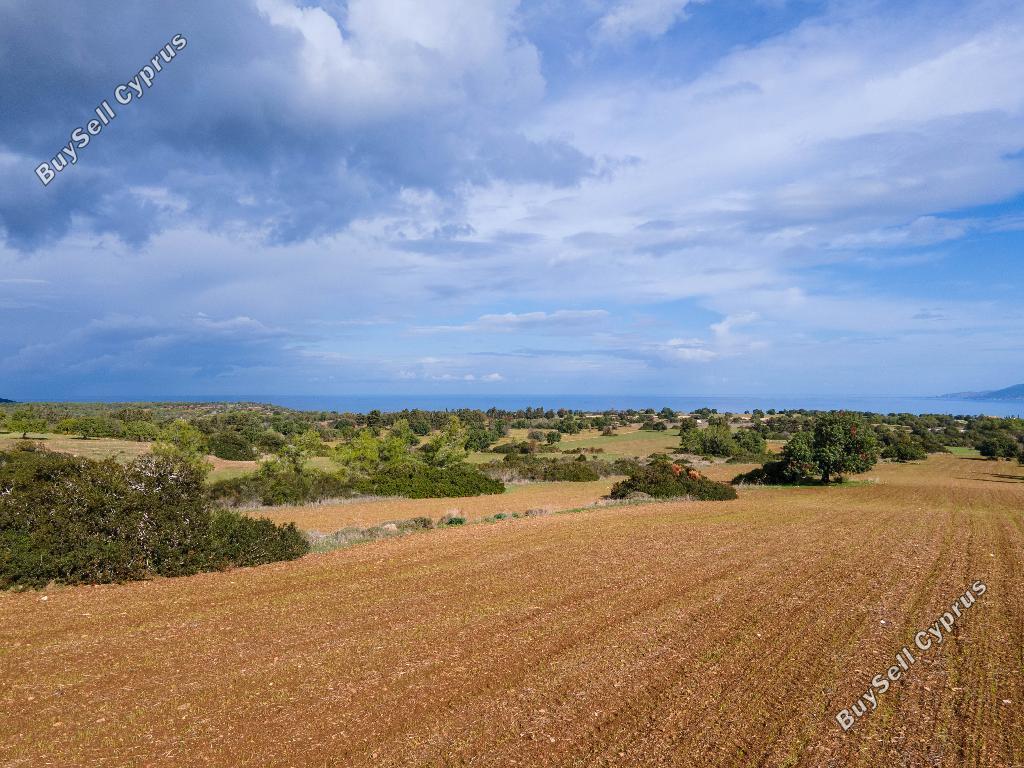 land for sale neo chorio paphos 945762 image 15600265