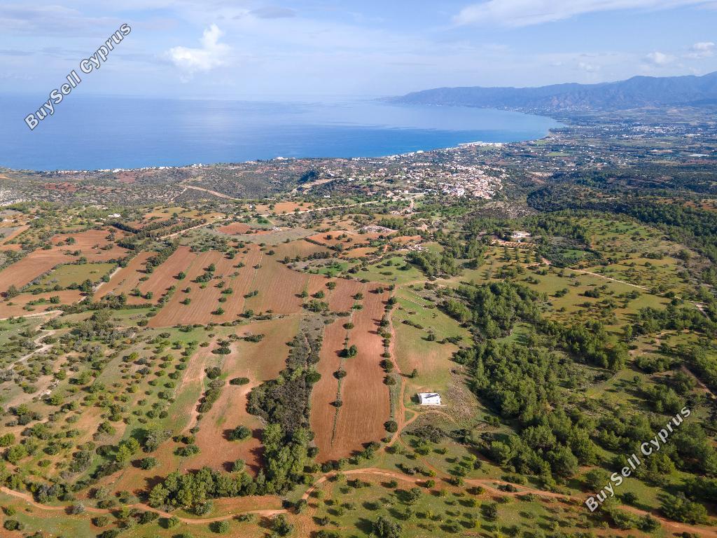 land for sale neo chorio paphos 945762 image 15600266