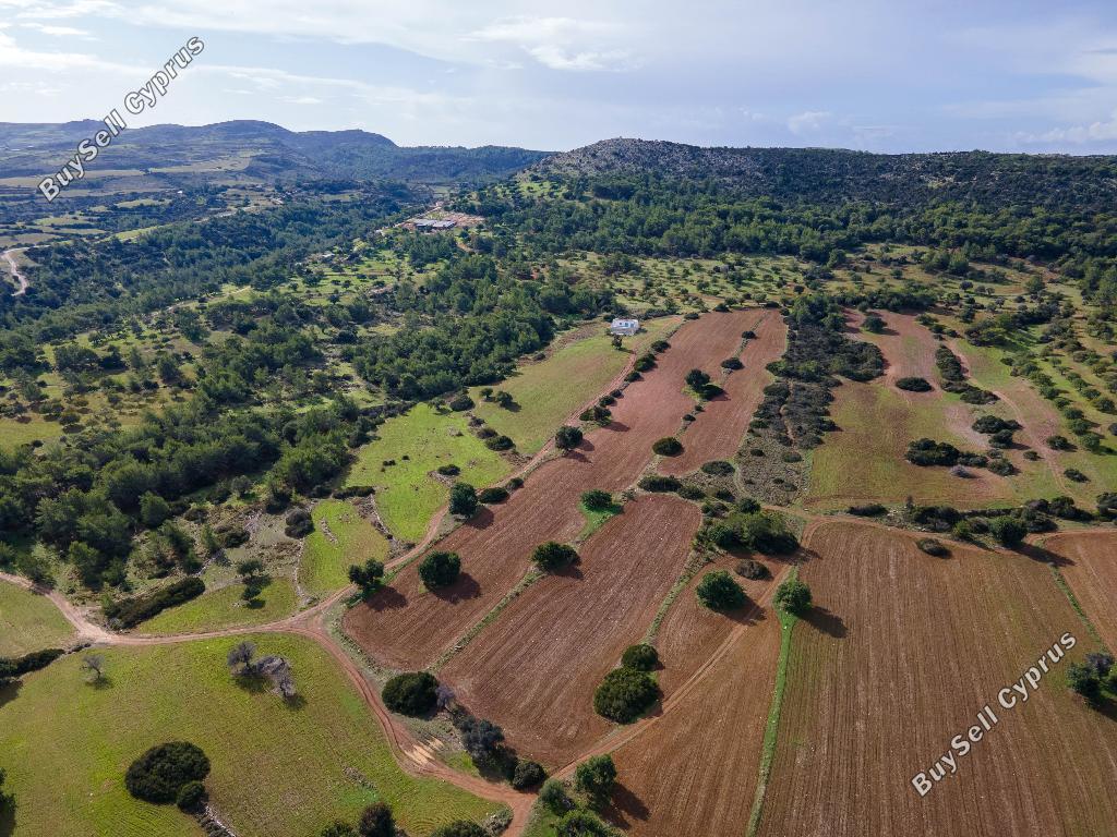 land for sale neo chorio paphos 945762 image 15600269