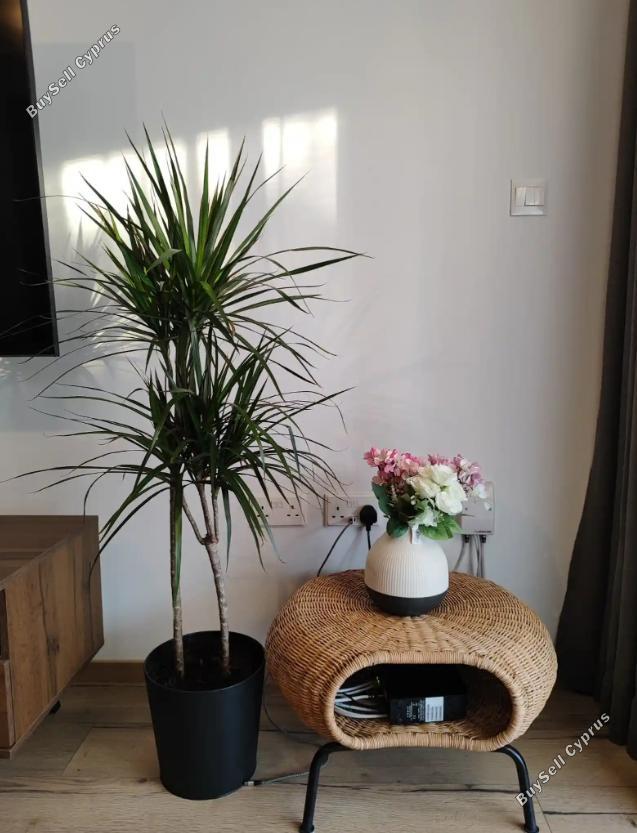 3 bedroom apartment for rent potamos germasogeias limassol 1625862 image 17253225