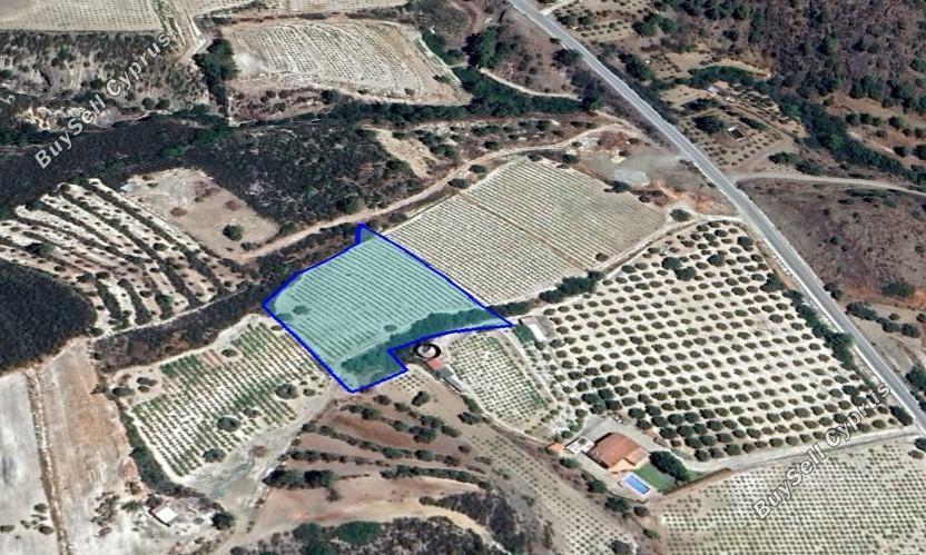 3025 SQM Land for sale in Kapileio, Limassol 5888527