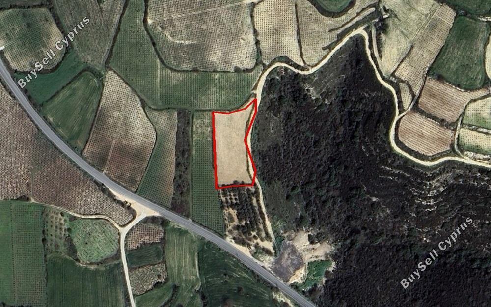 land for sale kathikas paphos 1882862 image 7273340