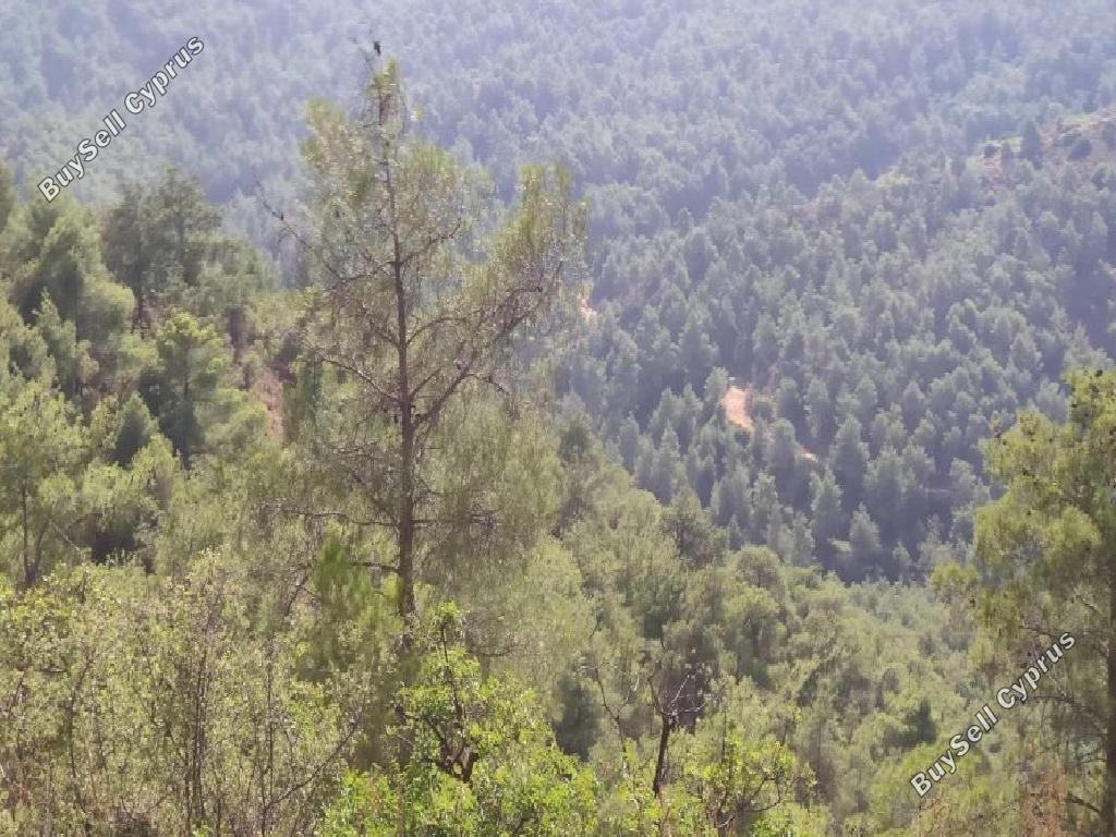 land for sale kampia nicosia 945962 image 7621476
