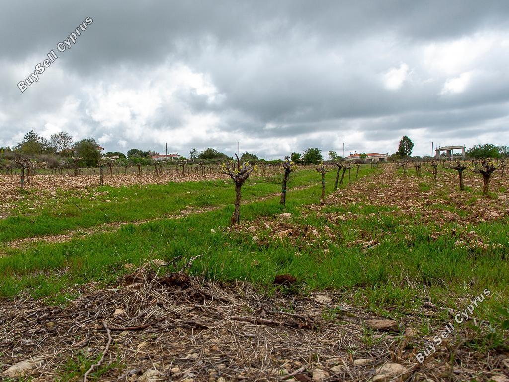 land for sale kathikas paphos 8542962 image 16305590