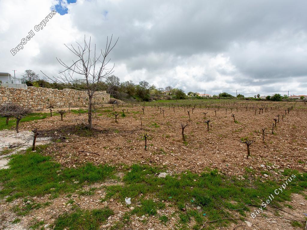 land for sale kathikas paphos 8542962 image 16305592