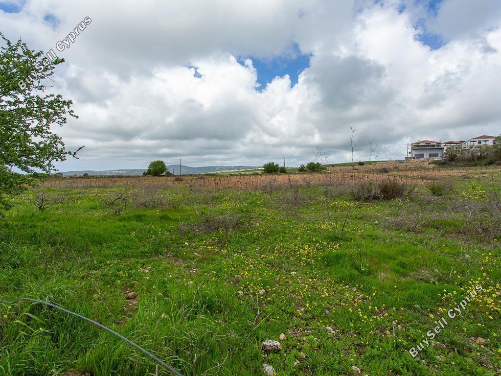 land for sale kathikas paphos 8542962 image 16305598