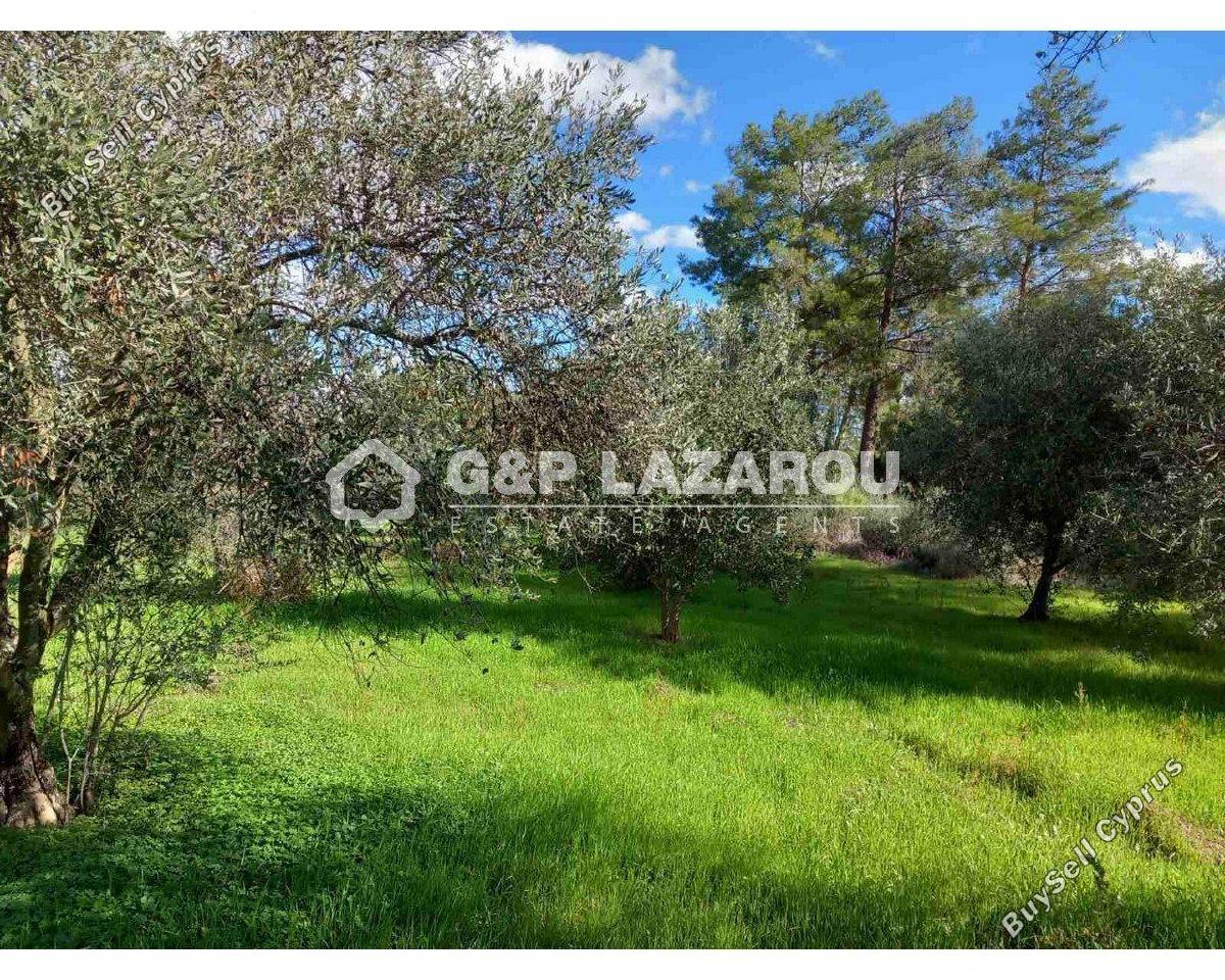 land for sale lythrodontas nicosia 8042962 image 17229785
