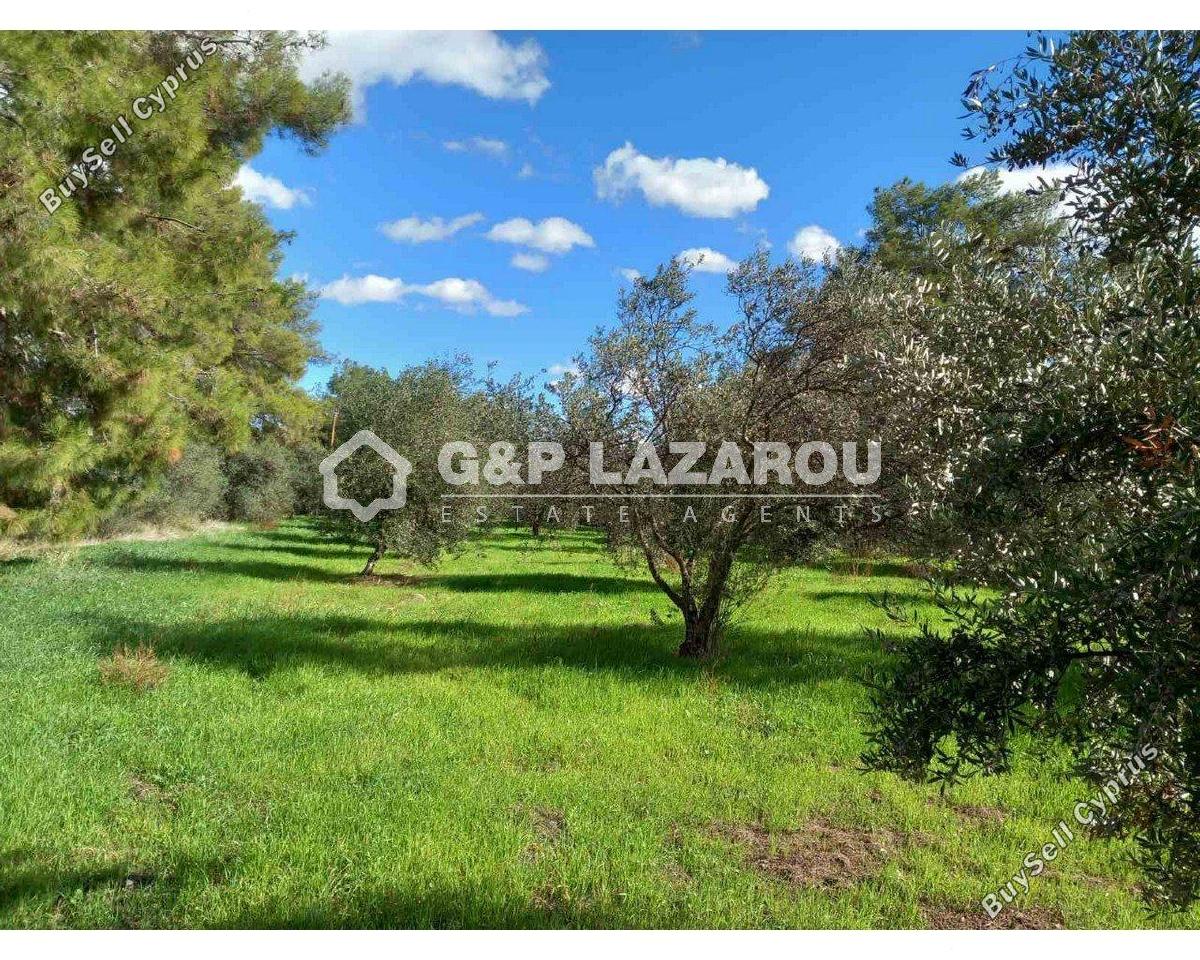 land for sale lythrodontas nicosia 8042962 image 17229786
