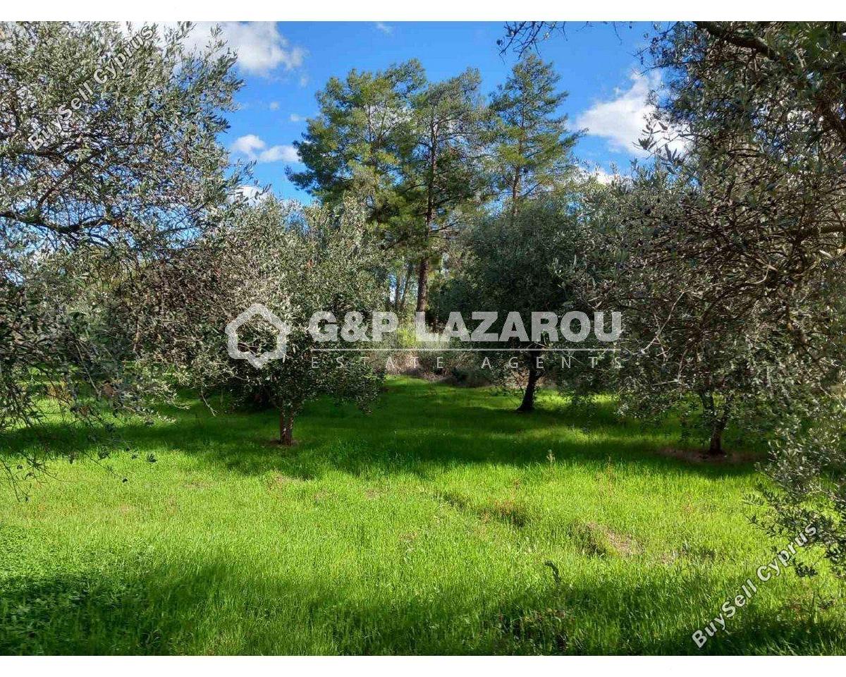 land for sale lythrodontas nicosia 8042962 image 17229787