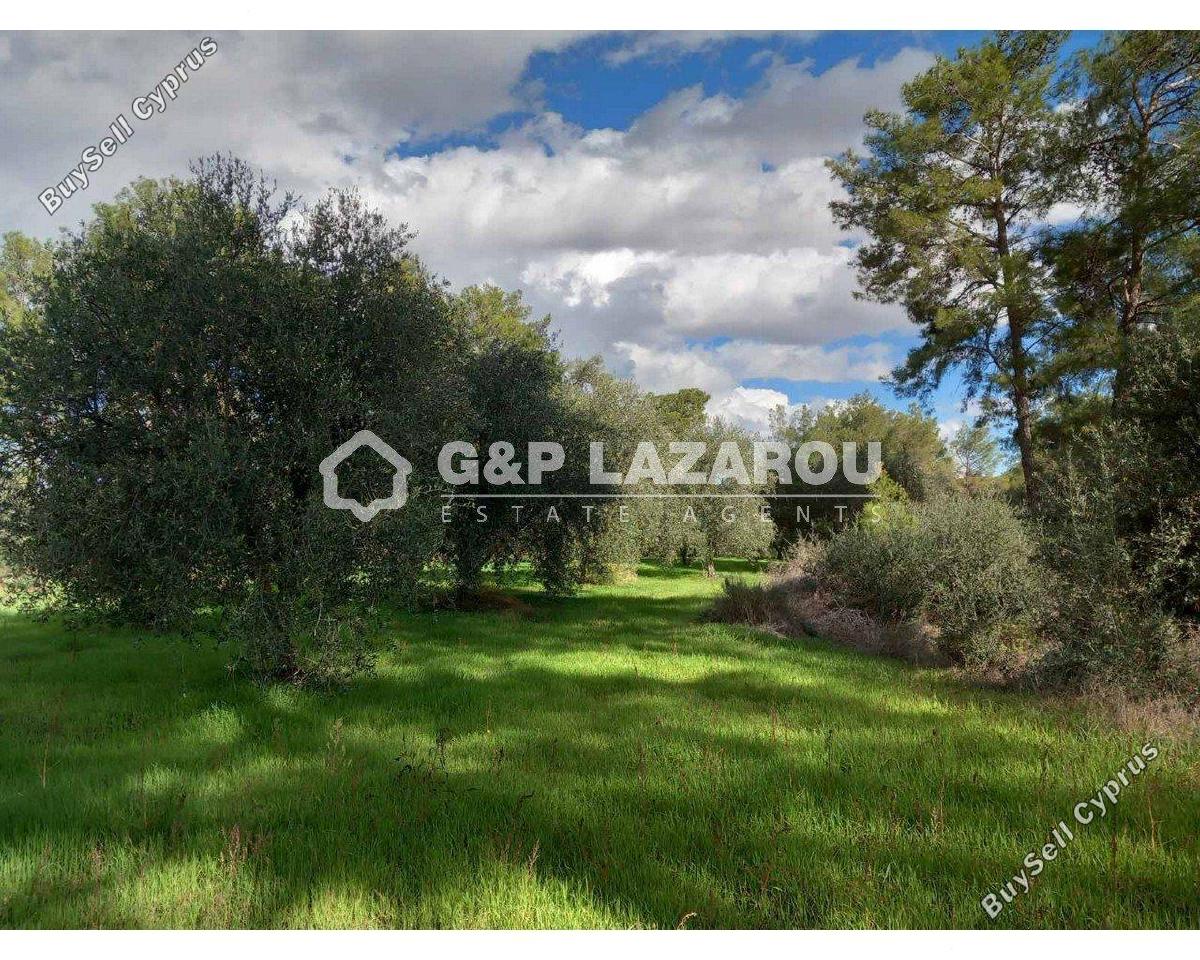 land for sale lythrodontas nicosia 8042962 image 17229789