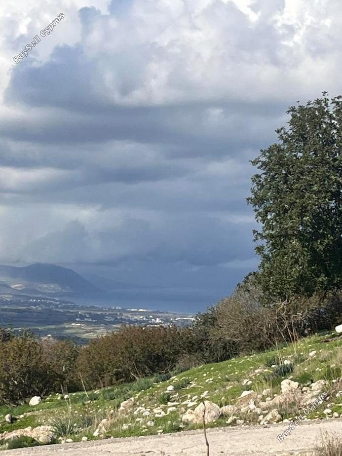 land for sale peristerona pafou paphos 8004962 image 12789369