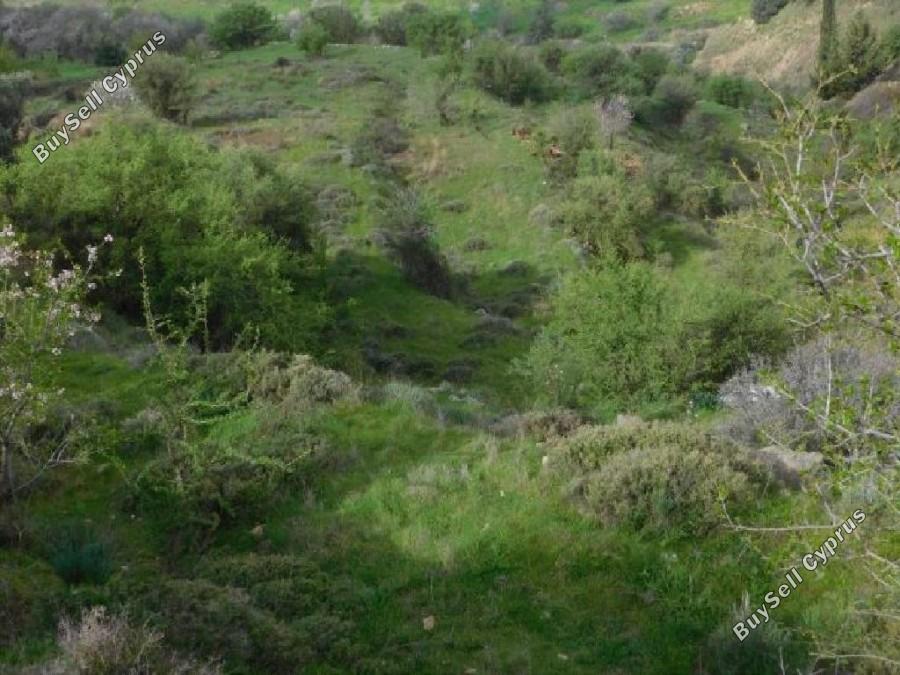 land for sale pentalia paphos 8659072 image 16278026