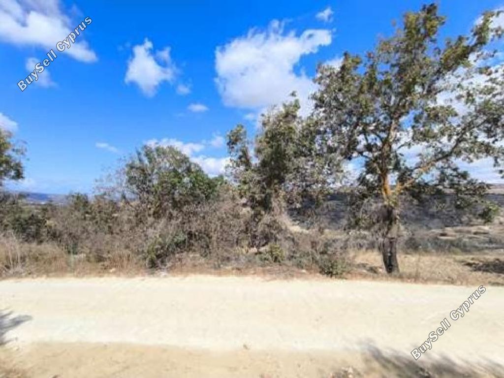 land for sale polemi paphos 1733072 image 17922694