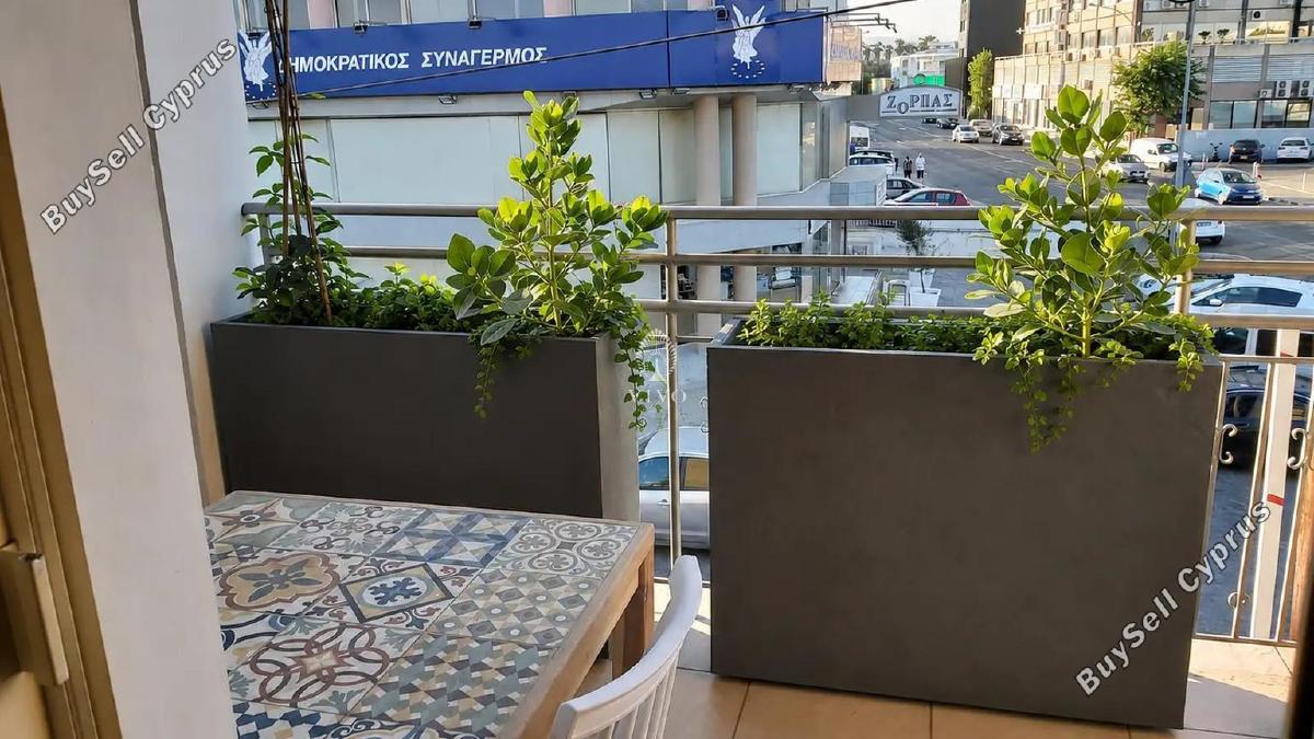 2 bedroom apartment for rent katholiki limassol 8792172 image 16694167