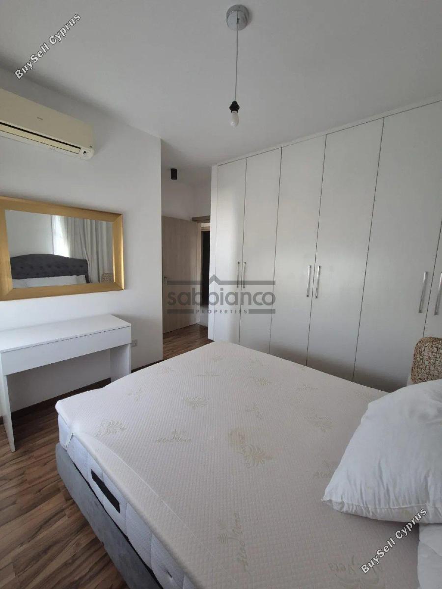 3 bedroom apartment for rent acropolis nicosia 8749172 image 16473132