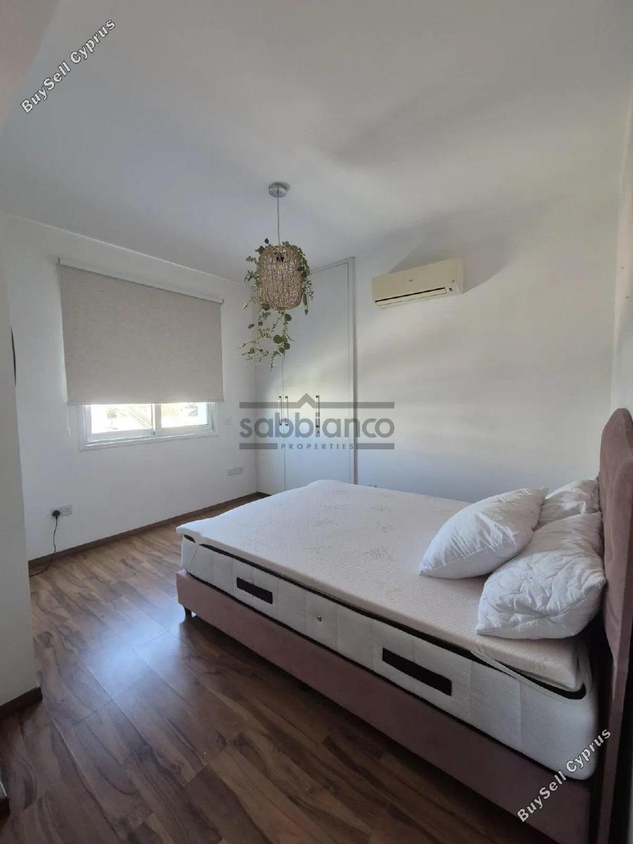3 bedroom apartment for rent acropolis nicosia 8749172 image 16473154