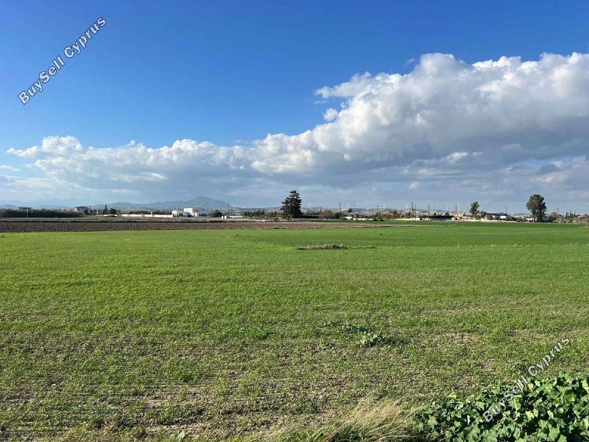 land for sale kiti larnaca 1256172 image 18396255