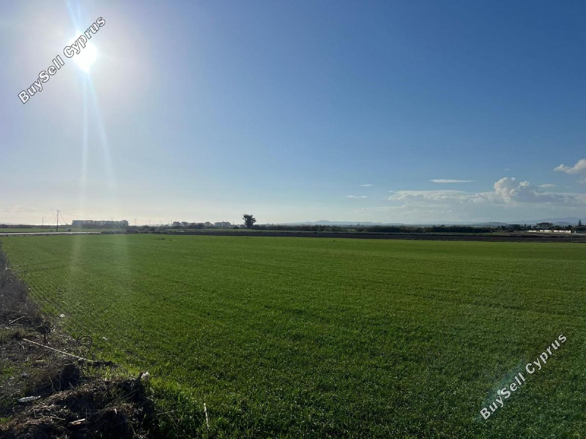 land for sale kiti larnaca 1256172 image 18396258