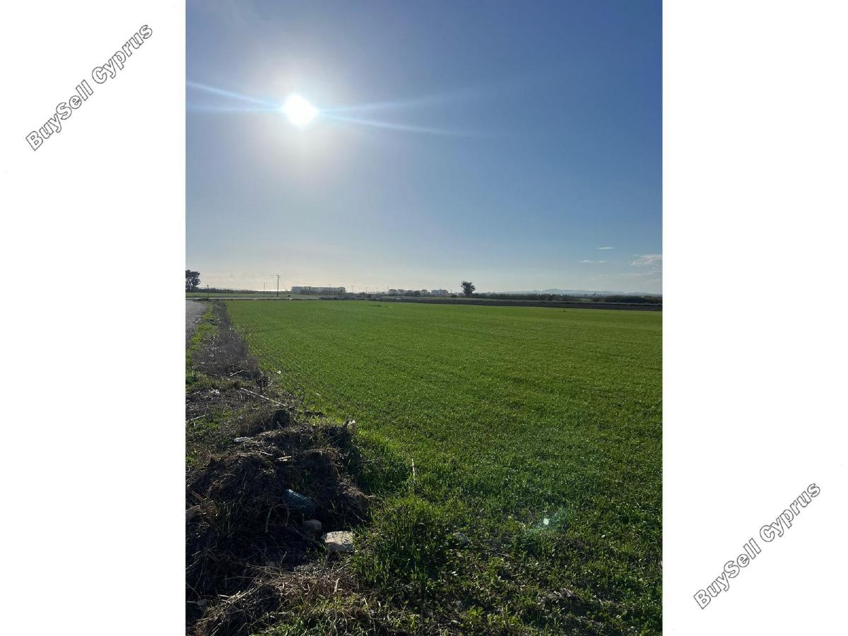 land for sale kiti larnaca 1256172 image 18396259