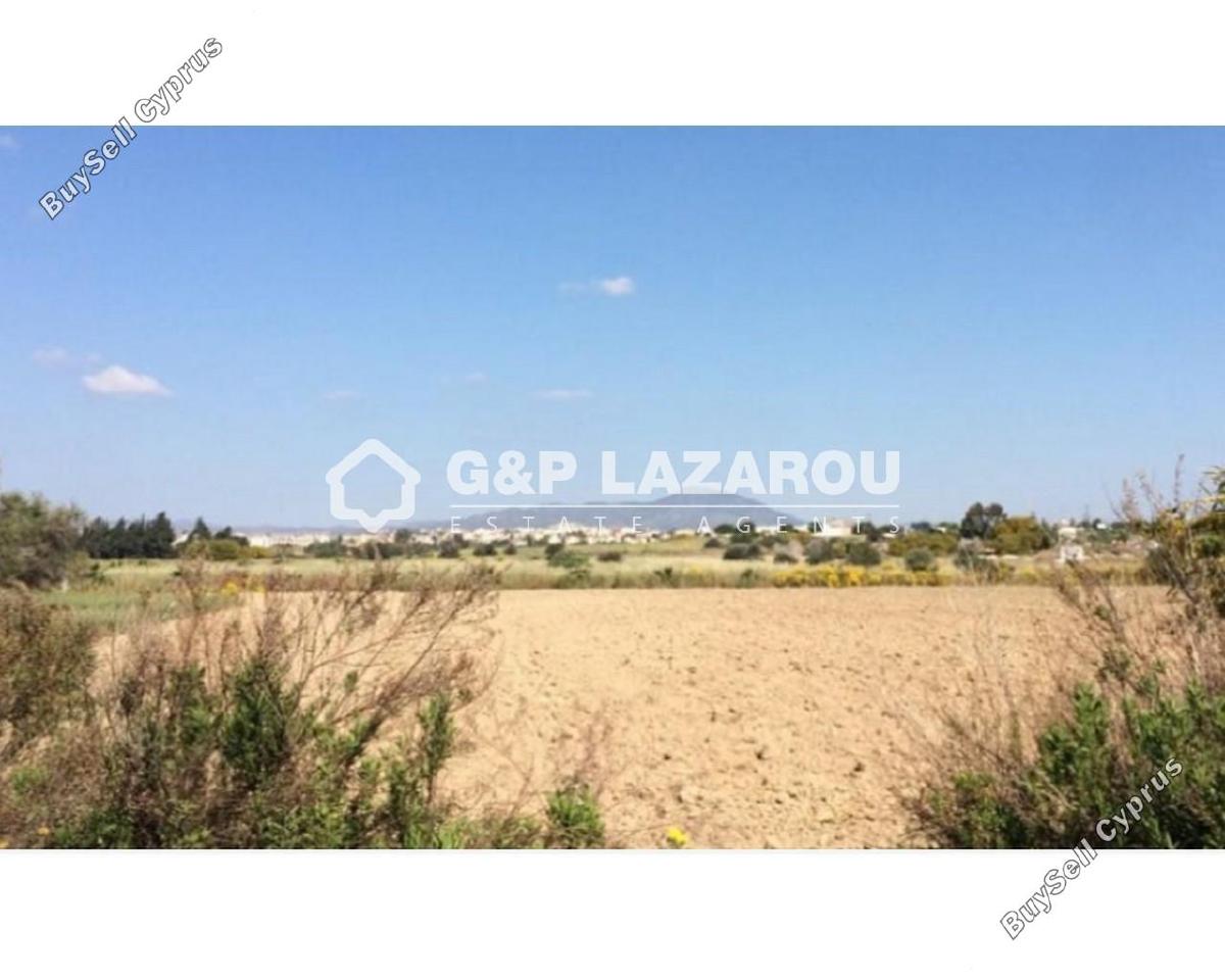 land for sale mazotos larnaca 1688172 image 14152373
