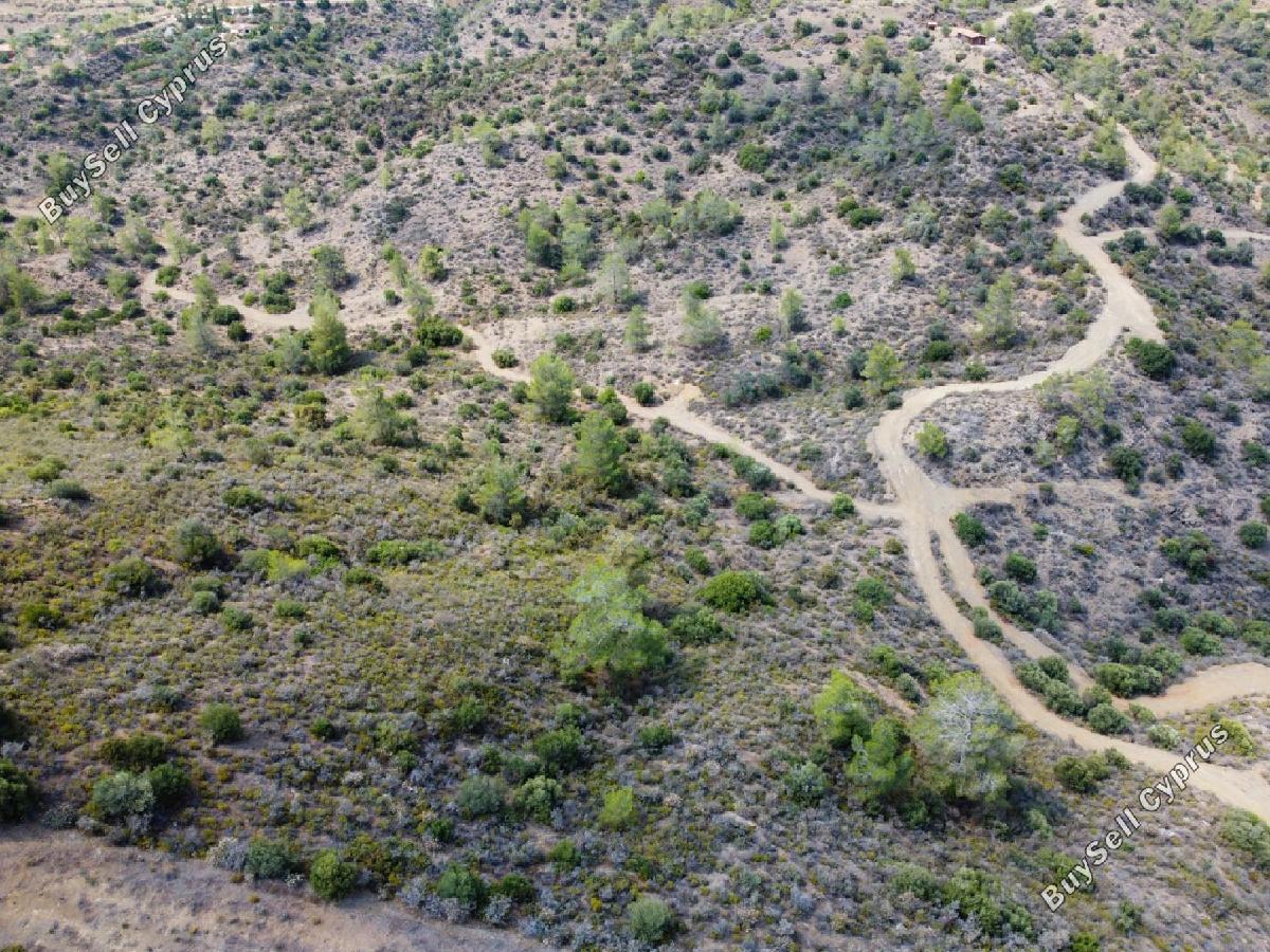 land for sale ora larnaca 8716172 image 16294736